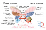 Ортопедический матрас Azalia  Matroluxe - Butterfly