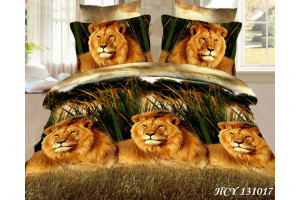 Постельное белье Zastelli 3D-микросатин HCY 131017 (ЗАСТЕЛЛИ)