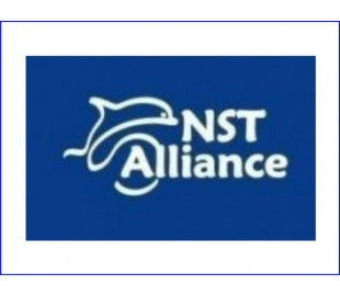 Комфортабельная мебель NST Alliance